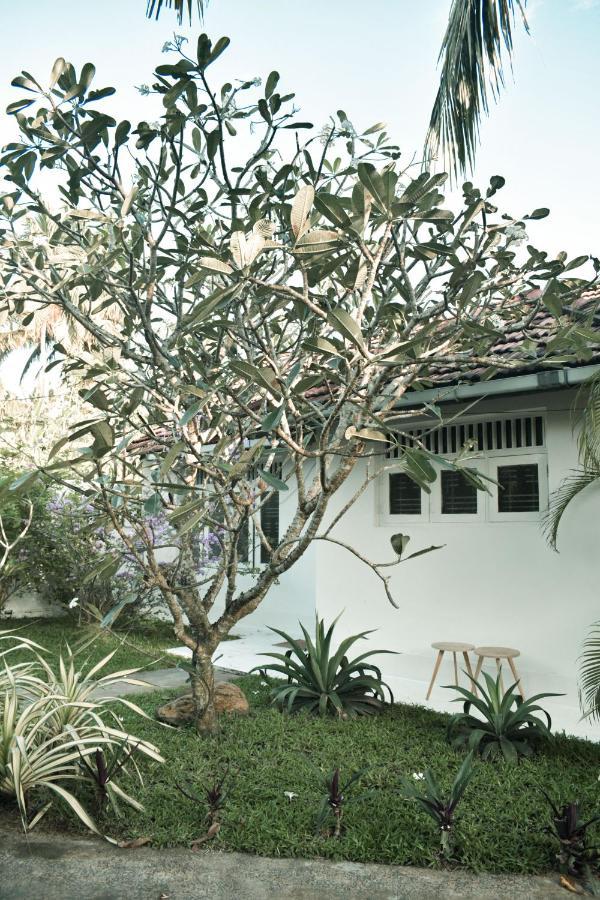 Hotel Casa Gitano Ahangama Exterior foto